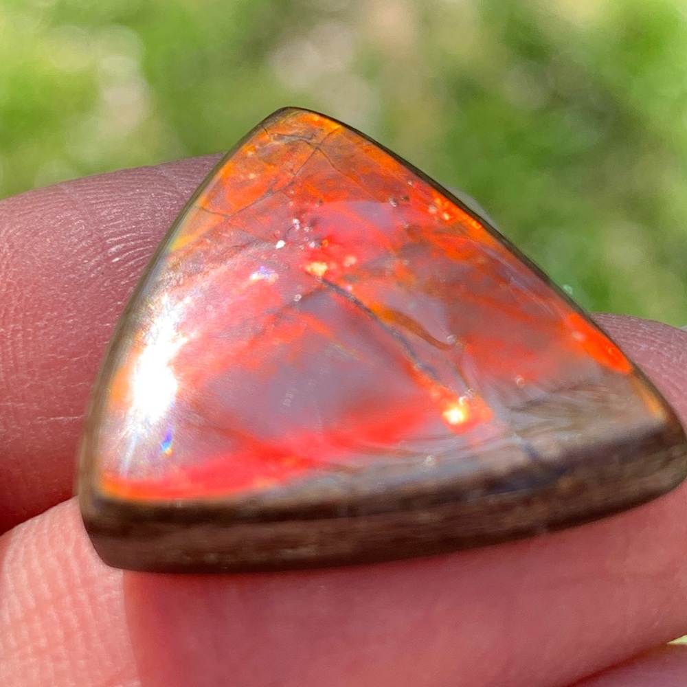 19.04cts Natural Canadian Ammolite Stone - Picture 4 of 17